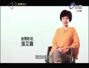 《2013 台湾第 50 届金马奖颁奖典礼精彩呈现 1.43G 百度盘资源》-小文资源网