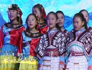 《2018 央视经典咏流传第一期：高清 1080P 国语中字 2G 资源百度盘分享》-小文资源网