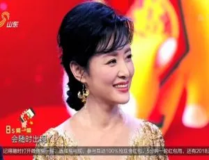 2018 内地山东卫视春节联欢晚会精彩呈现 - 百度盘资源-小文资源网
