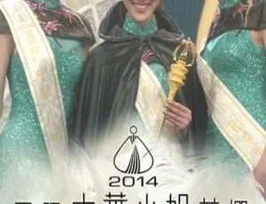2014 香港国际中华小姐竞选 720P 高清 MKV 粤语无字 2.06G 百度盘资源-小文资源网