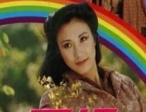 《1979 香港经典剧情电视剧<天虹> 39.84G 百度网盘资源》-小文资源网