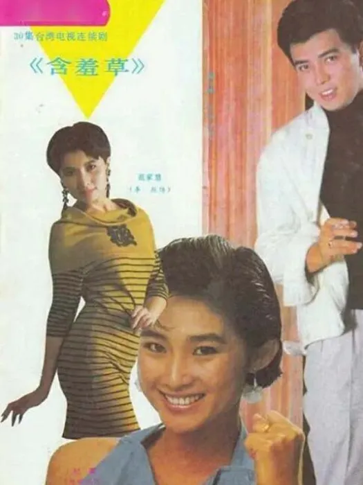 [电视剧][台湾] [1987][剧情][苍天有泪][6.13G][百度网盘]