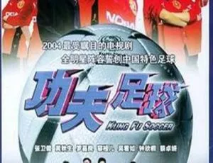 《2004 香港经典剧情电视剧<功夫足球>67.46G 百度网盘资源》-小文资源网