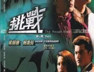 《1985 年香港经典剧情电视剧〈挑战〉51.29G 百度网盘资源》-小文资源网