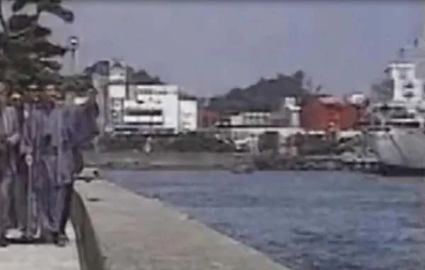 [电视剧][台湾][1990][剧情][希望之鸽][14.01G][百度网盘]