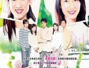 《2003 年台湾剧情佳作〈千金百分百〉14.25G 百度网盘分享》-小文资源网