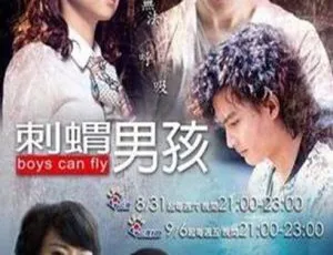 《2013 台湾精彩剧情剧<刺猬男孩>19.62G 百度网盘资源》-小文资源网