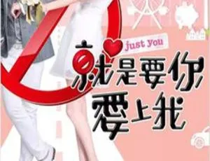 《2013 台湾精彩剧情电视剧<就是要你爱上我> 20.40G 百度网盘资源》-小文资源网