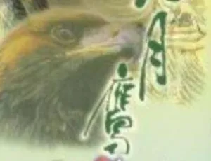 《1996 香港经典剧情剧〈九月鹰飞〉23.65G 百度网盘资源》-小文资源网