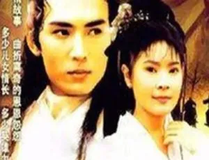 《1995 台湾经典剧情剧<台湾情>5.25G 百度网盘资源分享》-小文资源网