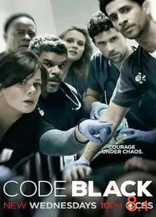 [电视剧] [2015][剧情][黑色警报S01][第一季][7.09G][百度网盘]