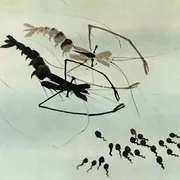 1960《小蝌蚪找妈妈》[汉语普通话/全1集1.34G][百度下载]