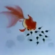 1960《小蝌蚪找妈妈》[汉语普通话/全1集1.34G][百度下载]