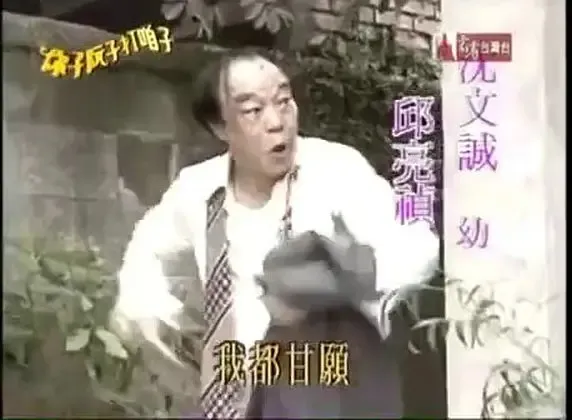 [1995][香港]《你子阮子打咱子》[卓依婷 / 刘林][国粤中字][50集][43.13GB][百度网盘]