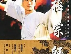 《1998 年大陆经典《太极宗师》吴京樊亦敏领衔 28 集 15.14GB 百度网盘资源》-小文资源网