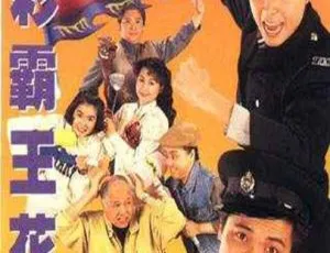 《1993 年中国香港经典剧全集 20 集，罗嘉良邵美琪领衔》