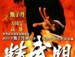 甄子丹版《精武门》（1995 香港）30 集全 720p 国语无字 HD-MP4 百度网盘资源-小文资源网