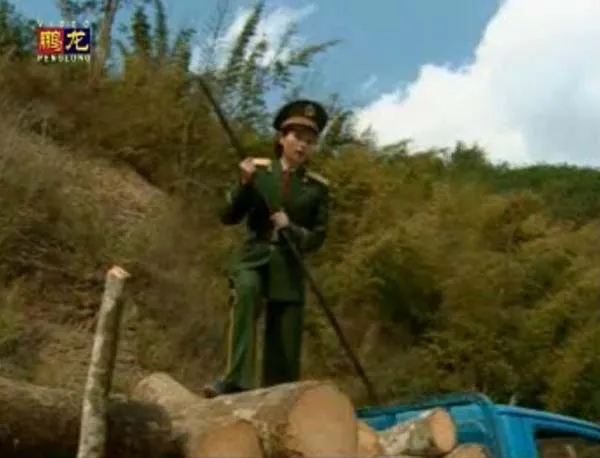 [2003][警匪绝版][铁血豪情+血染金三角][全22集][百度网盘]