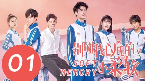 [2019][大陆]《别碰我心底的小柔软》[20集全][国语中字][MP4每集约 150-200 MB][560p][百度网盘]