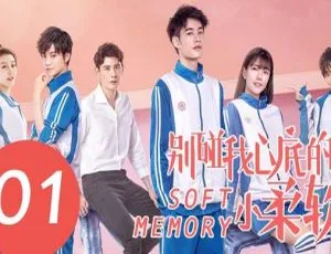 《2019 大陆爆款剧<别碰我心底的小柔软>20 集全，国语中字，精彩呈现！》-小文资源网