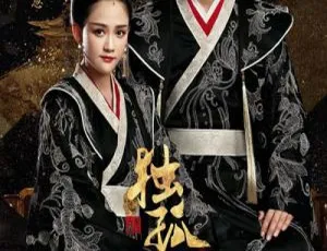 《独孤皇后》2019 大陆精彩剧集 50 集全 720p 国语中字 百度网盘资源