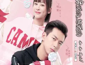 《亲爱的，热爱的》（2019 大陆）41 集全 高清国语 600p 百度网盘资源