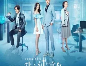 《2019 大陆佳作百度网盘资源：34 集+6 集番外，国语中字，标清 480p》