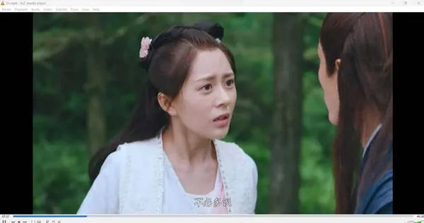[2020][大陆]《人间烟火花小厨》[36集全][国语中字][HD-MP4每集约 300 MB][720p][百度网盘]