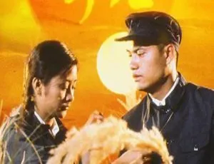 《吕良伟周润发领衔！香港经典电视剧全 20 集，粤语无字》
