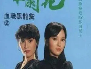 《1981 经典剧情之作<女黑侠木兰花> 10.38G 百度网盘资源》-小文资源网