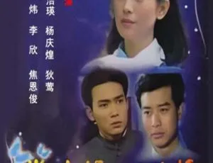 《1992 经典剧情电视剧〈半生缘一世情〉3.57G 百度网盘资源》