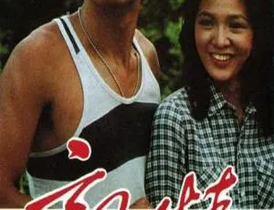 《1980 年中国香港的亲情巨献，20GB 资源百度云分享》-小文资源网