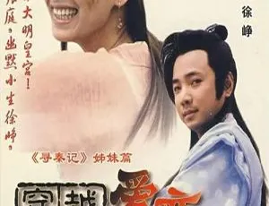 《2002 大陆经典穿越剧：张庭徐峥领衔 28 集 22.24GB 百度网盘分享》