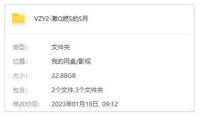 国产剧《激情燃烧的岁月》全22集(康洪雷执导)高清/国语中字/视频合集【百度云网盘下载】