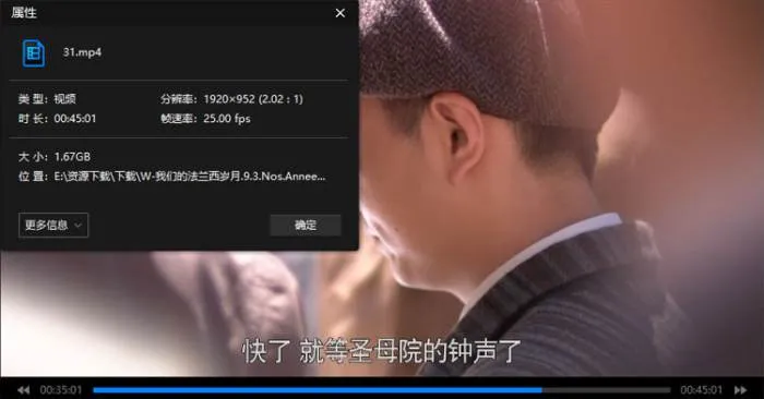 国产剧《我们的法兰西岁月》全31集(康洪雷执导)高清/国语中字/视频合集【百度云网盘下载】