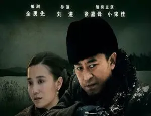 《悬崖》国产剧全 40 集，刘进执导高清国语中字视频合集【百度云网盘下载】-小文资源网