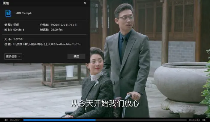 国产剧《鸡毛飞上天》全55集(余丁执导)高清/国语中字/视频合集【百度云/阿里云网盘下载】