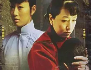 《月牙儿与阳光》国产剧全集：马伊琍领衔主演 国语中字 百度云网盘下载