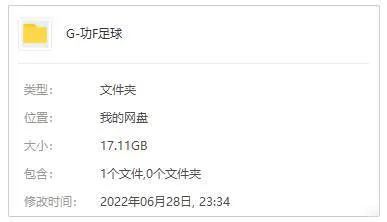 国产剧《功夫足球》全33集(张卫健主演)国粤双语中字/视频合集【百度云/阿里云网盘下载】