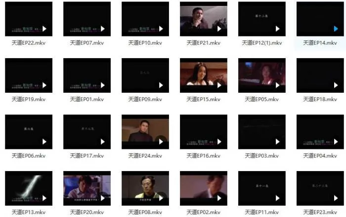 国产剧《天道》全24集(未删减版)国语中字/视频合集【百度云网盘下载】