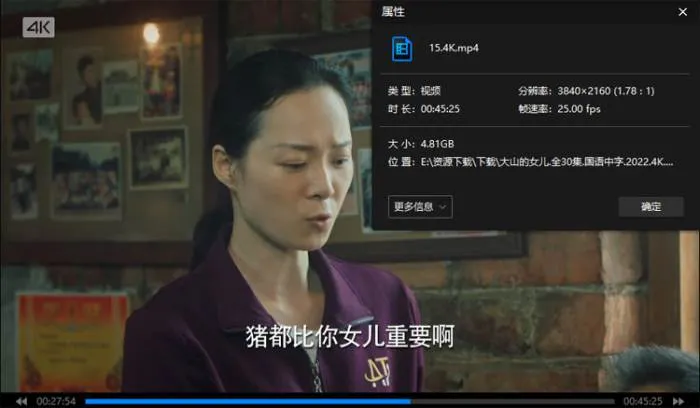 国产剧《大山的女儿》全30集(雷献禾执导)高清4K/国语中字/视频合集【百度云/阿里云网盘下载】