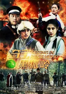 2018《夺宝黑狐岭》[汉语普通话/全1集4.87G][百度下载]