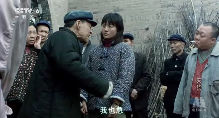 [2005][中国][天狗][国语中字][RMVB][1.14GB][百度网盘]