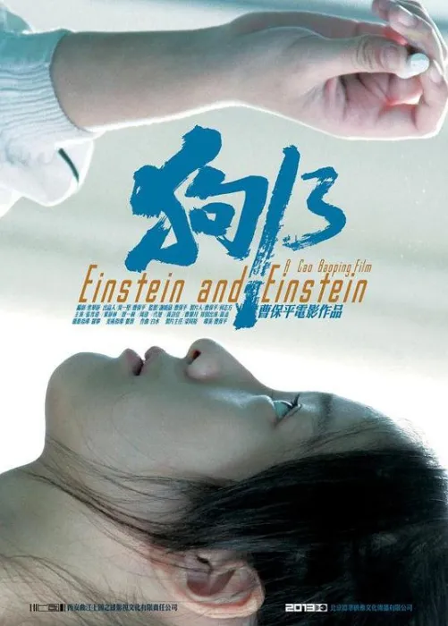 [2013][中国][狗十三][国语_内嵌中英][MP4][2.02G][1080P][百度网盘]