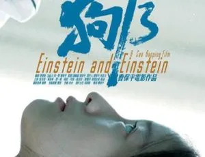 《2013 年中国佳作<狗十三> 1080P 国语中英内嵌 2.02G 百度网盘资源》-小文资源网