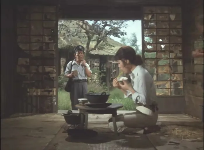 [1974][日本][望乡][国语无字][RMVB][402MB][百度网盘]