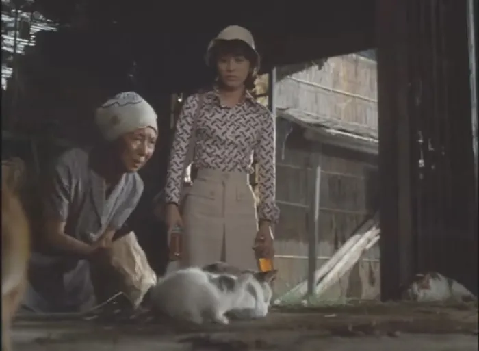 [1974][日本][望乡][国语无字][RMVB][402MB][百度网盘]