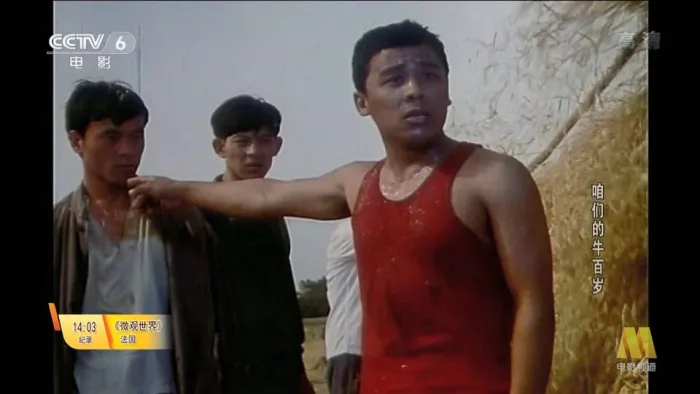 [1983][中国][咱们的牛百岁][国语无字幕][TS][4.72GB][百度盘]