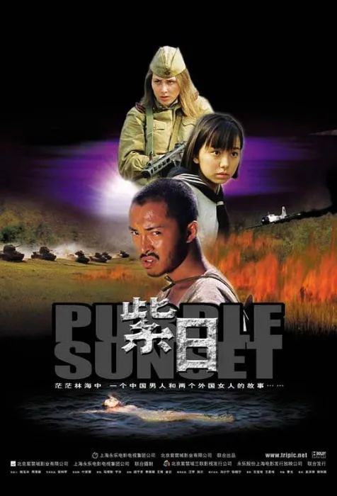 [2001][香港][紫日][国语中字][MP4][342MB][百度盘]