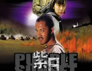 《2001 年香港经典电影《紫日》国语中字版 MP4 格式 342MB 百度盘资源》-小文资源网